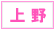 上野 デリヘル